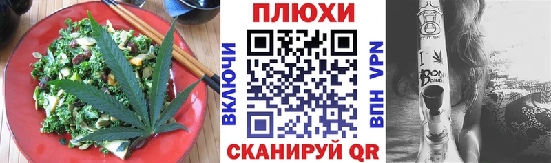 купить закладку  Новоузенск  Cannafood конопля 