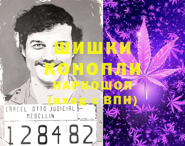 стафф Майский