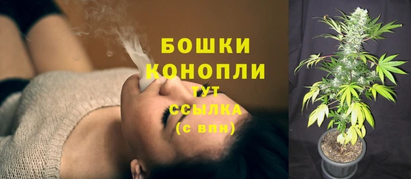 трава Магадан