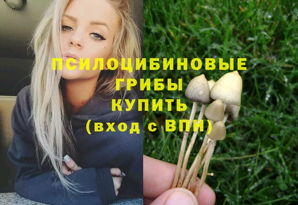 гашик Котовск